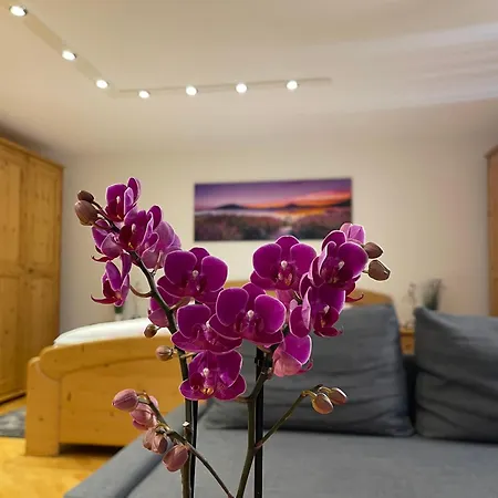 Apartment Mooroom Dalaas