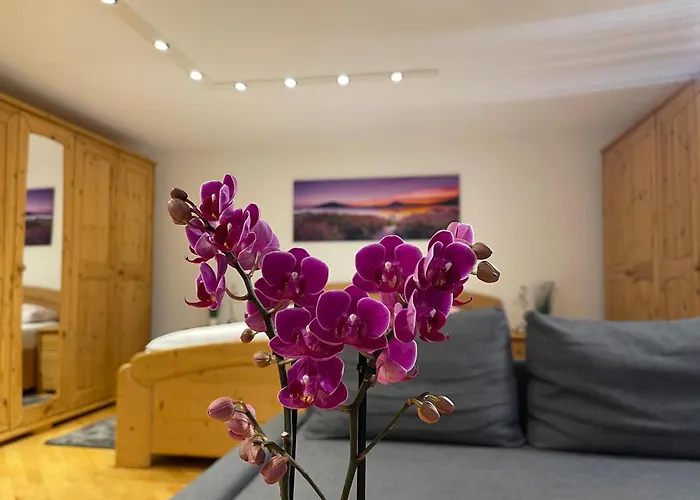 Apartment Mooroom Dalaas