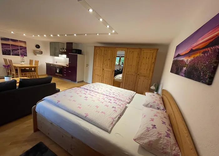 Apartment Mooroom Dalaas